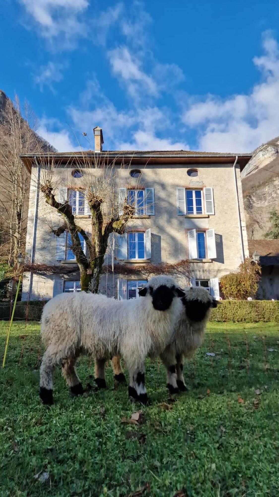 Lumbin Chateau Monts Blancs מראה חיצוני תמונה